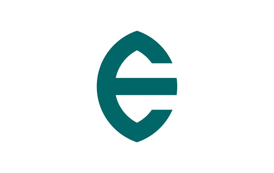 e design logo 5 scaled