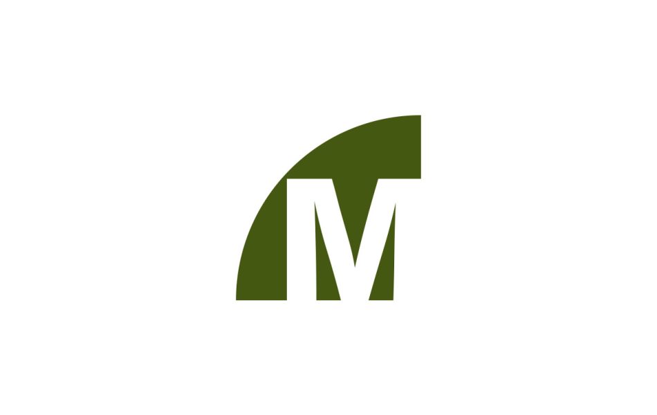 m modern logo design 1