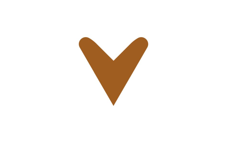 v design letter logo 1