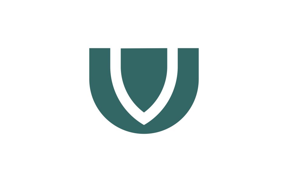 v letter logo