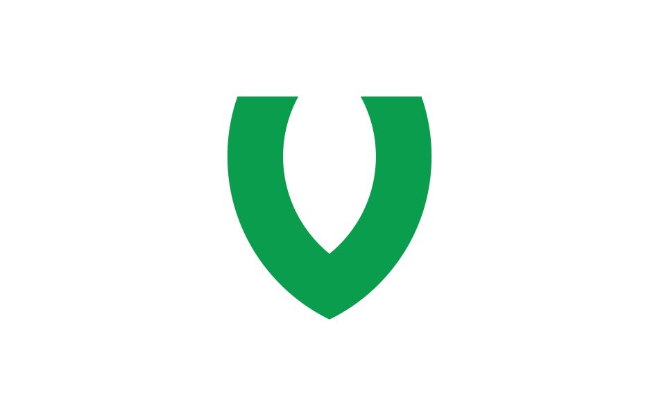 v logo