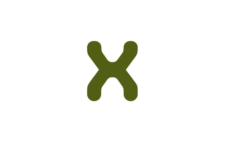 x letter logo design 1